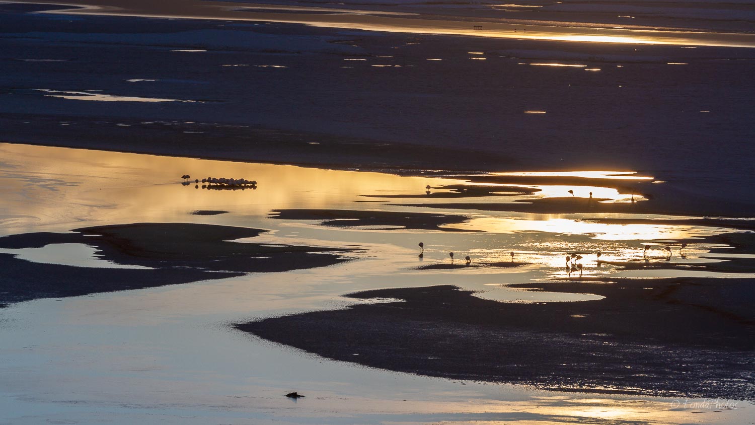 IMG_0310.jpg Laguna Colorada at sunrise