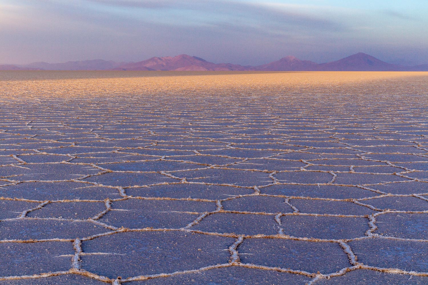 IMG_0561.jpg Sunrise, Salar de Uyuni, Bolivia