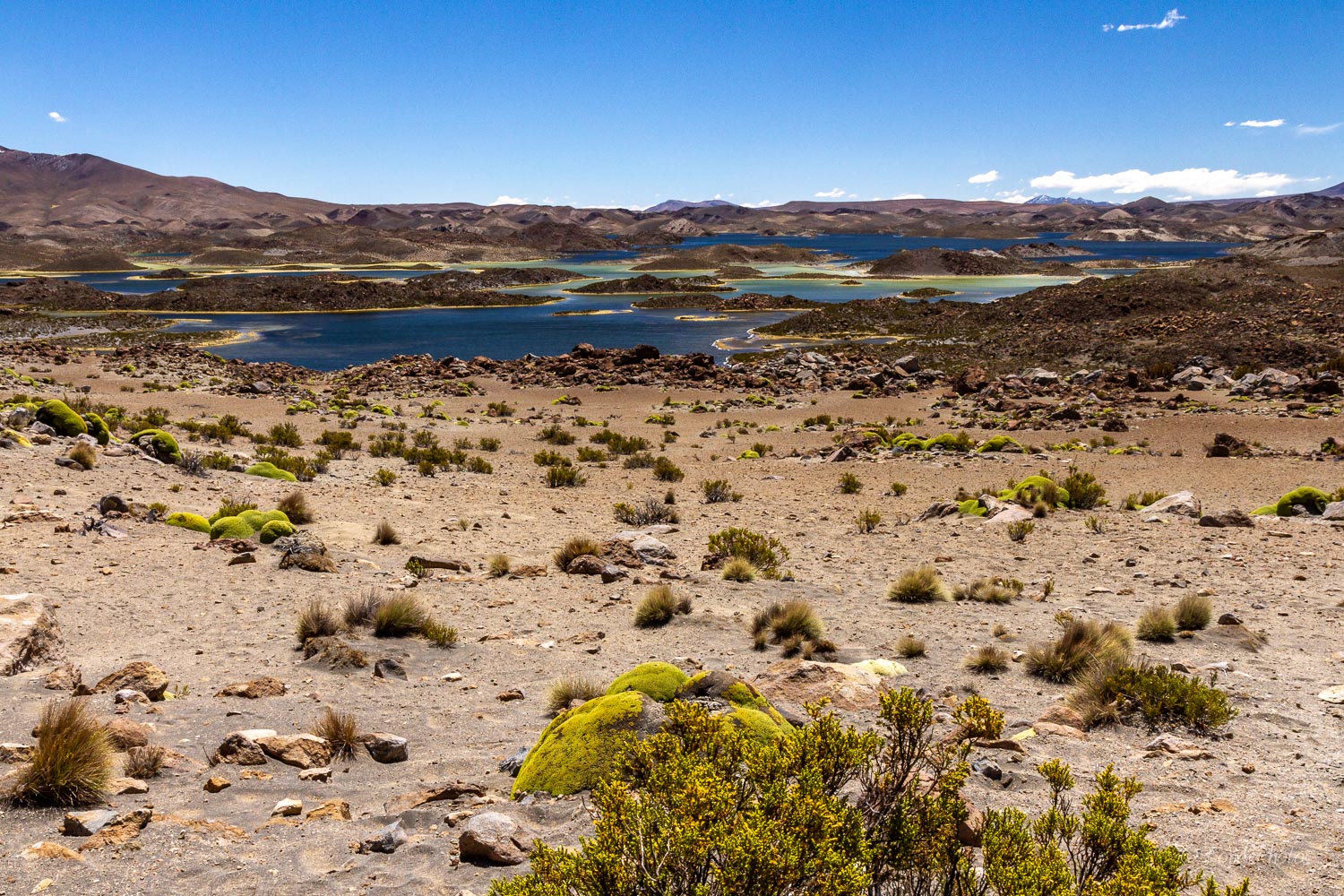 Lago Chungara