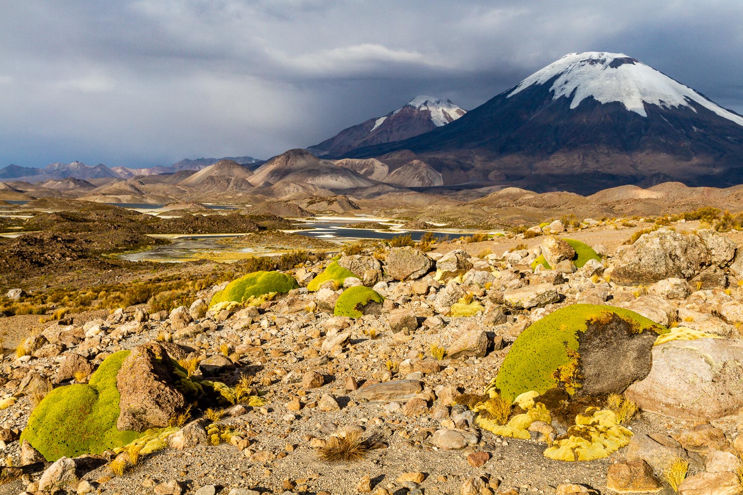 IMG_0925.jpg Parinacota and Pomerape volcanoes from Laguna Cotacotani