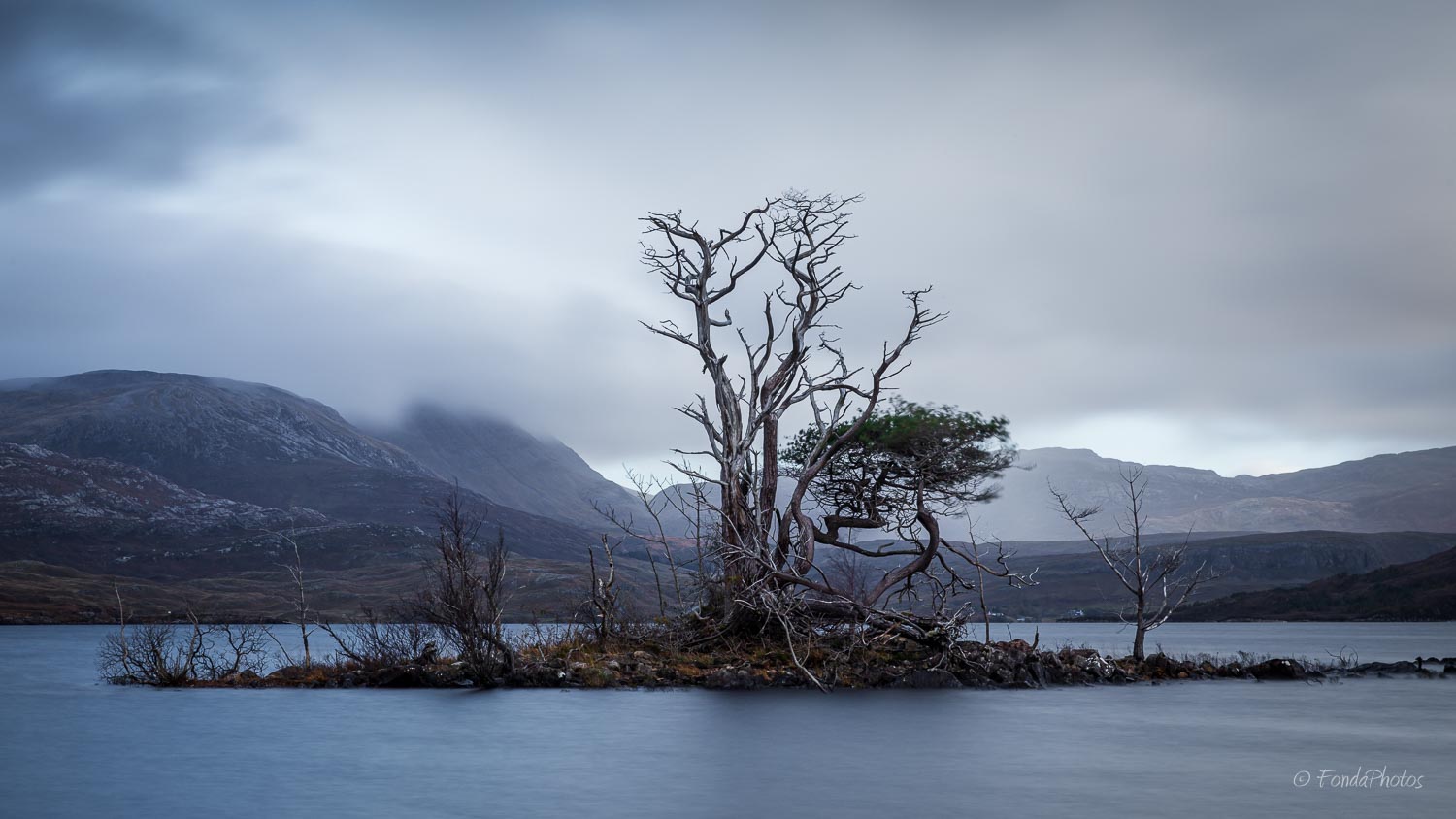 5DIV1319.jpg Loch Assynt, dead trees