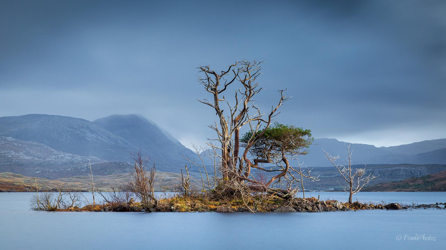 5DIV1322.jpg Loch Assynt, dead trees