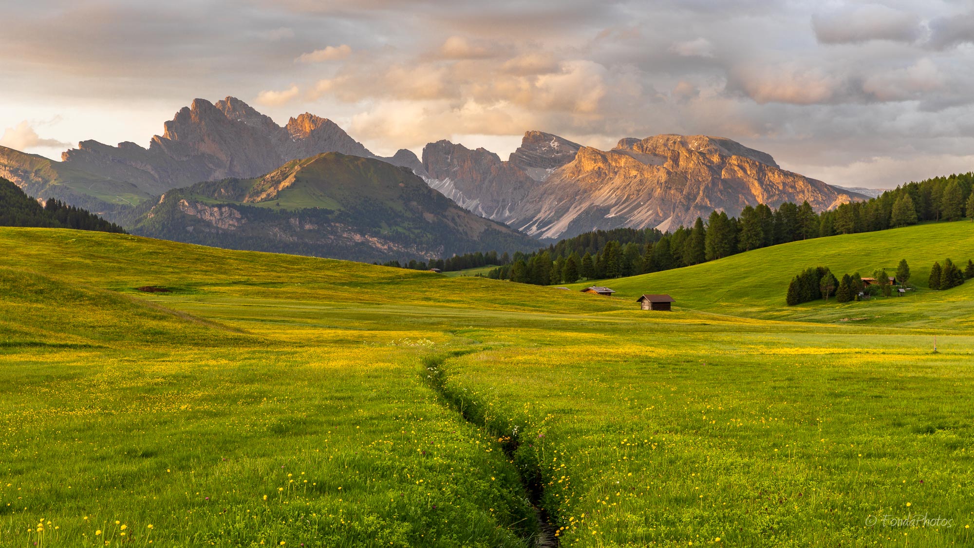 Alpe di Suisi, Dolomites