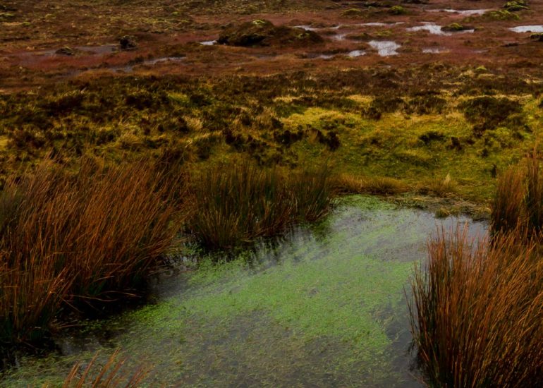Quiraing, Skye, Ecosse