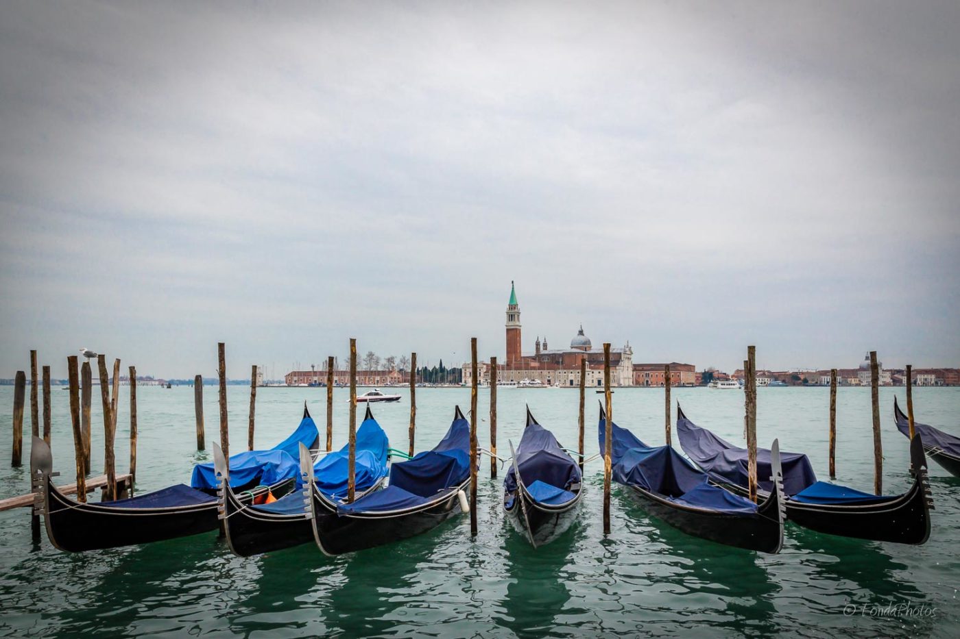 Gondolas in the Giudecca Canal, Venice