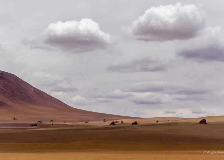 Désert de Dali, Bolivie