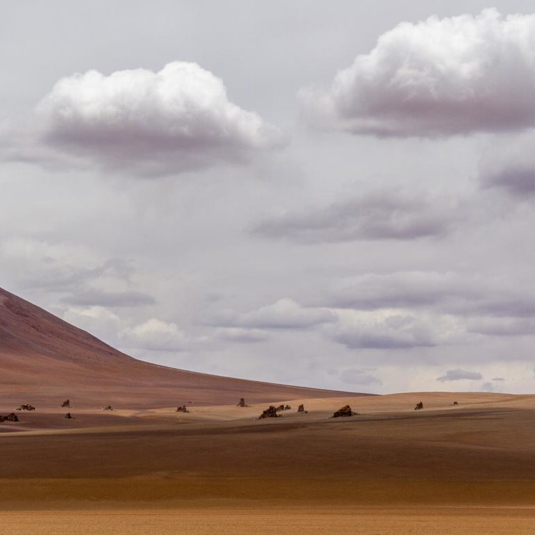Désert de Dali, Bolivie