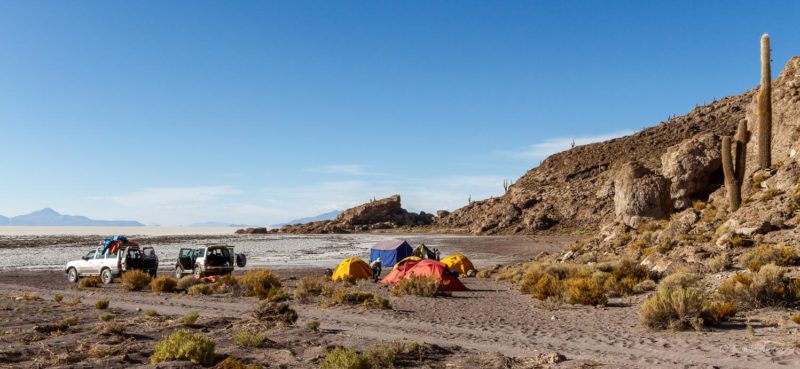 Isla del Pescado, Salar de Uyuni, Bolivie