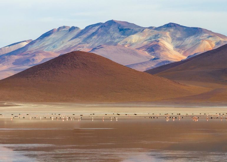 Laguna Blanca, Bolivia