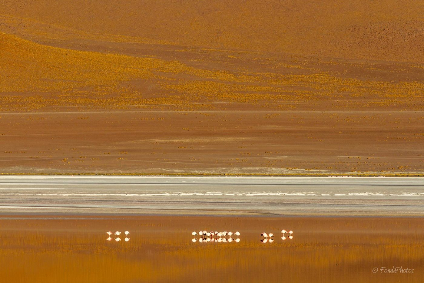 Laguna Colorada, Bolivia