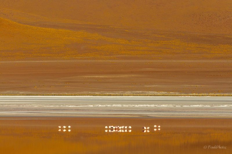 Boutique, Laguna Colorada, Bolivie