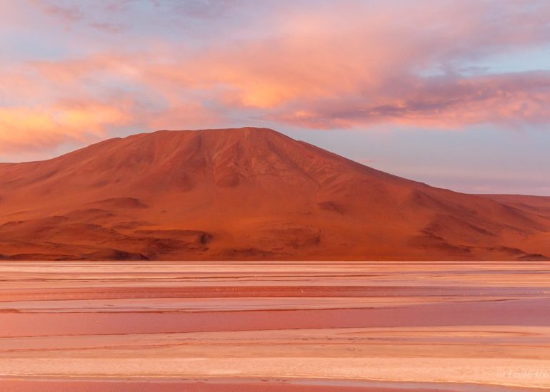 Laguna Colorada, Bolivie