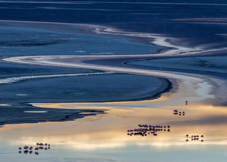 Laguna Colorada au lever du jour