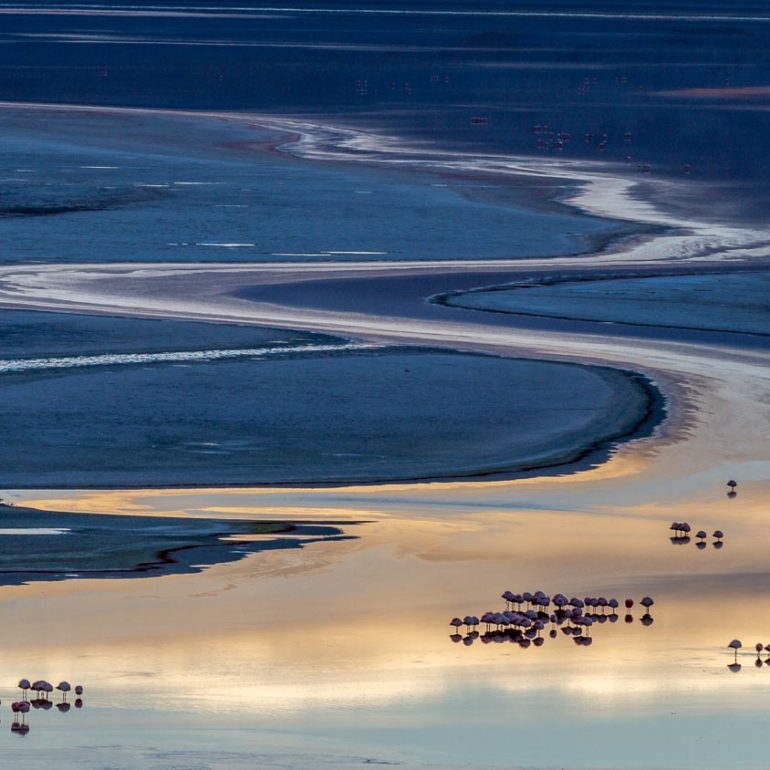 Laguna Colorada au lever du jour