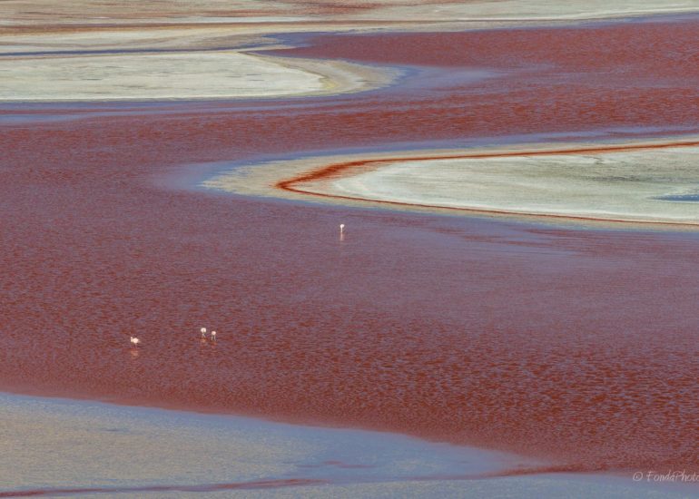 Laguna Colorada, Bolivie