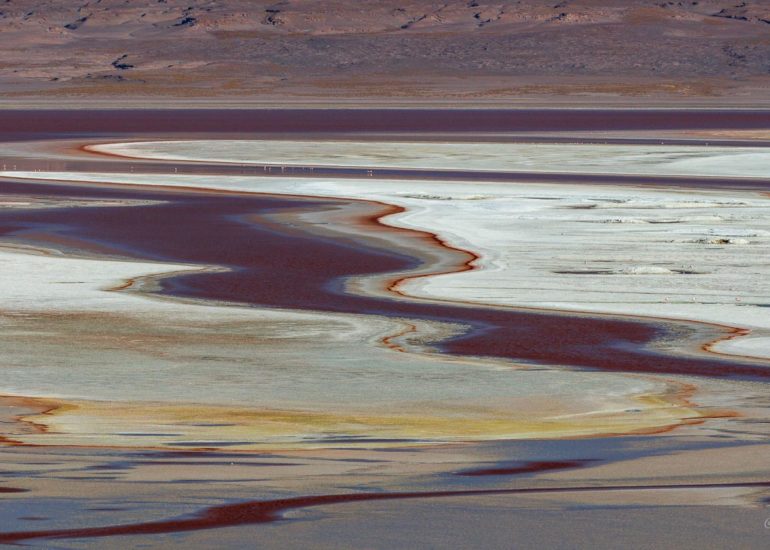 Laguna Colorada, Bolivie