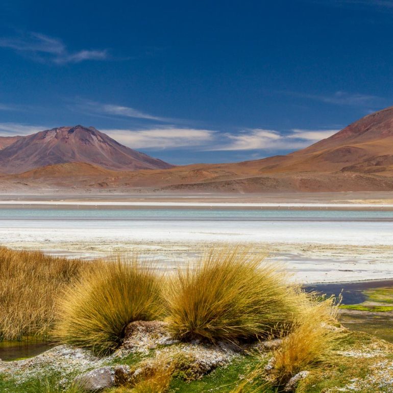 Laguna Ramaditas, Bolivie