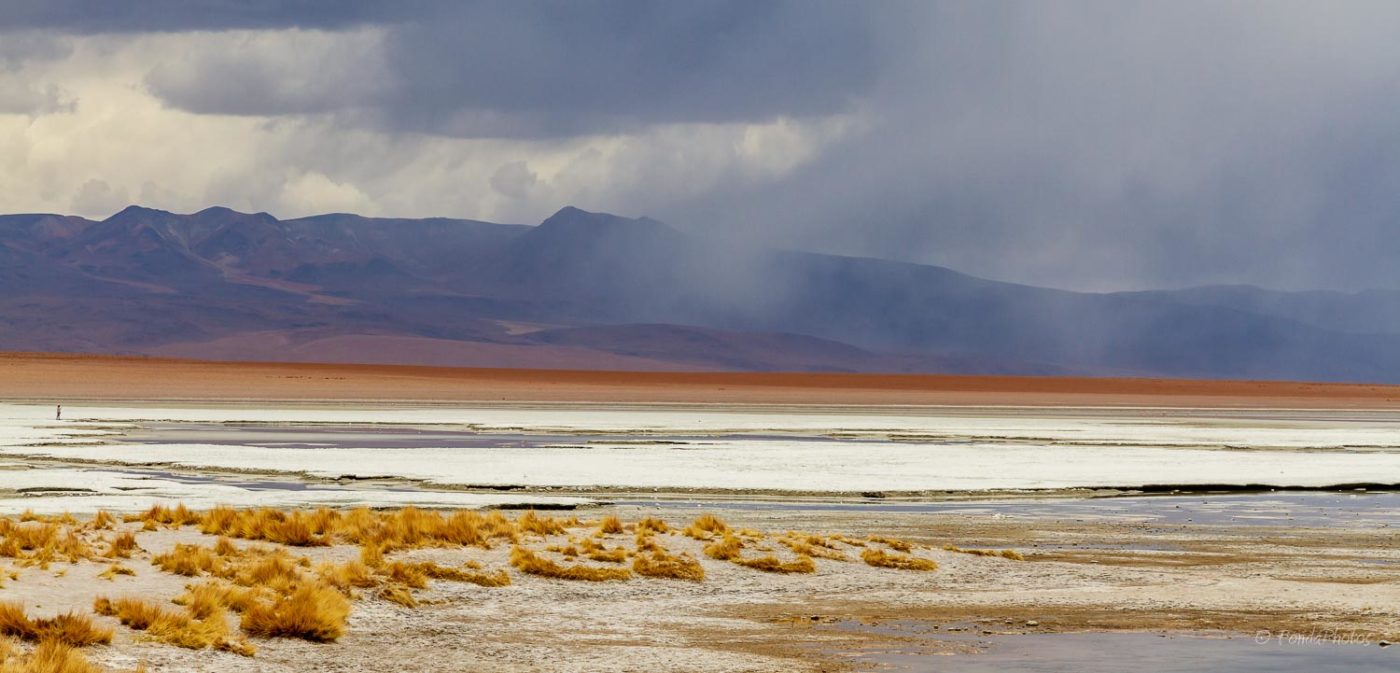 Salar de Chalviri, Bolivie