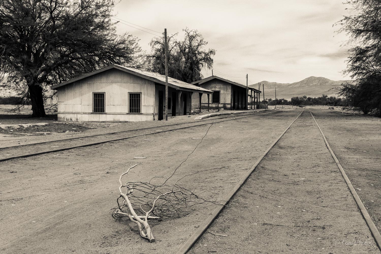 Abandonned railroad, Quillagua