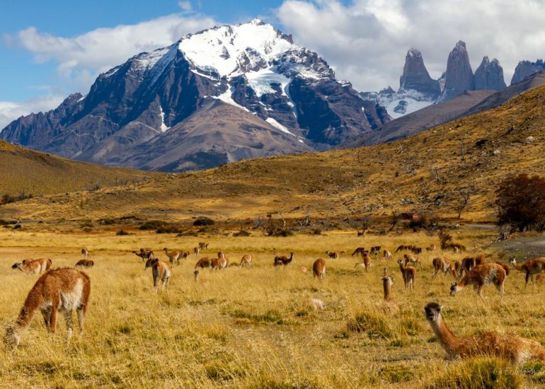 Lago Pehoé, Torres del Paine