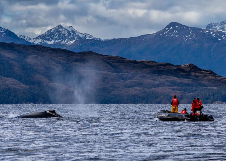 Seno de Agostini, Mount Buckland, Strait of Magellan