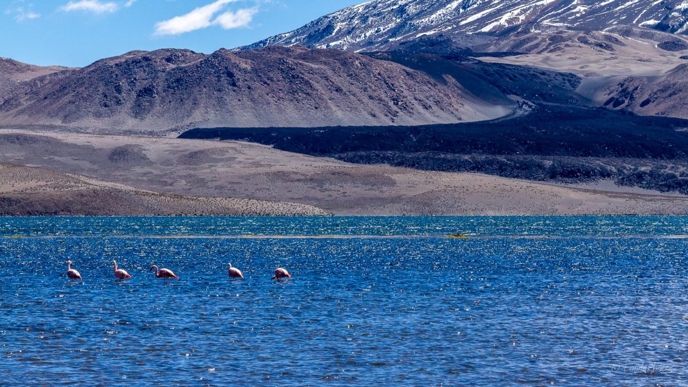 Lac Chungara