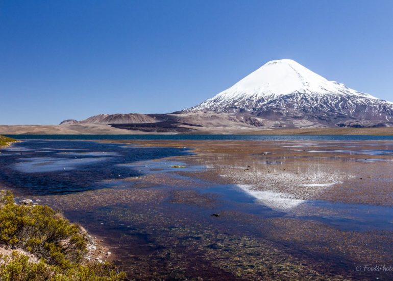Lago Chungara and volcano Parinacota