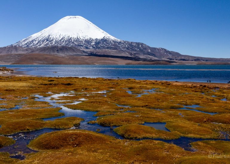 Lago Chungara and volcano Parinacota