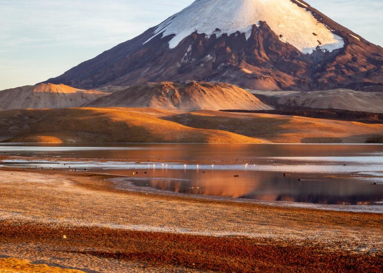 Lago Chungara and volcano Parinacota