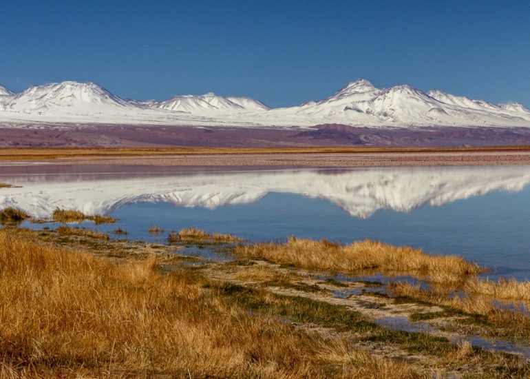 Laguna de Chaxa, Salar de Atacama
