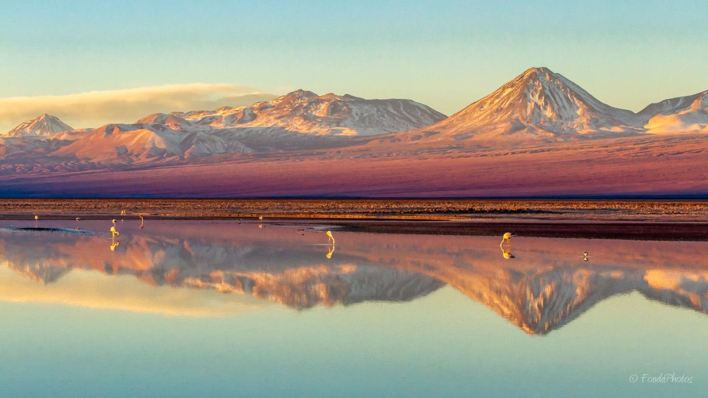 Laguna de Chaxa, Salar d'Atacama