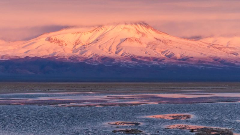 Laguna de Chaxa, Salar de Atacama