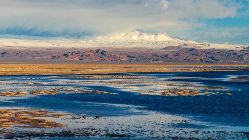 Laguna de Chaxa, Salar de Atacama