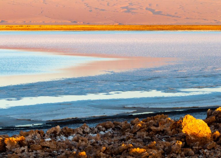 Laguna de Chaxa, Salar de Atacama