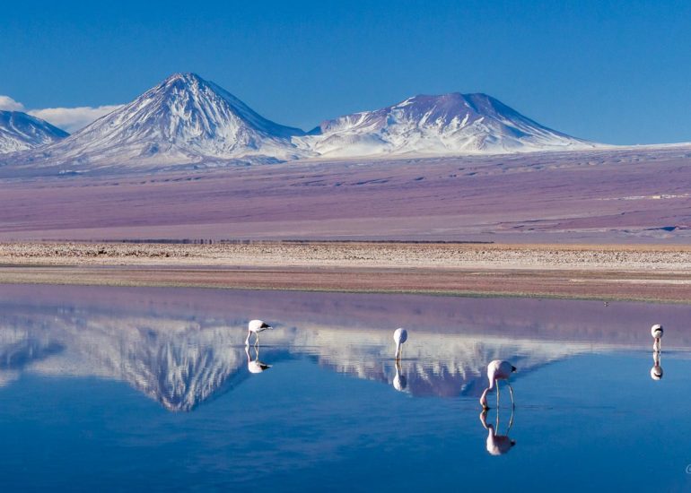 Laguna de Chaxa, Salar de Atacama