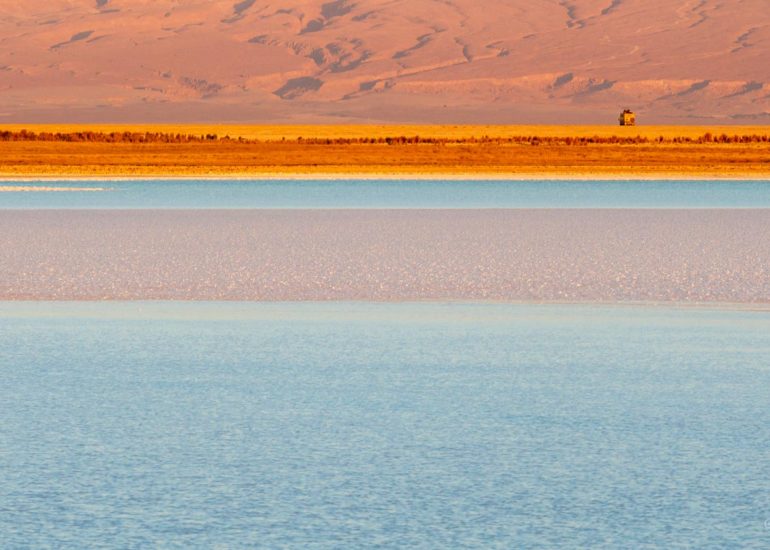 Laguna de Chaxa, Salar de Atacama