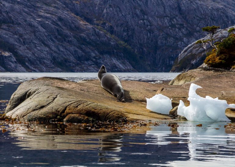 Seno de Agostini, Mount Buckland, Strait of Magellan