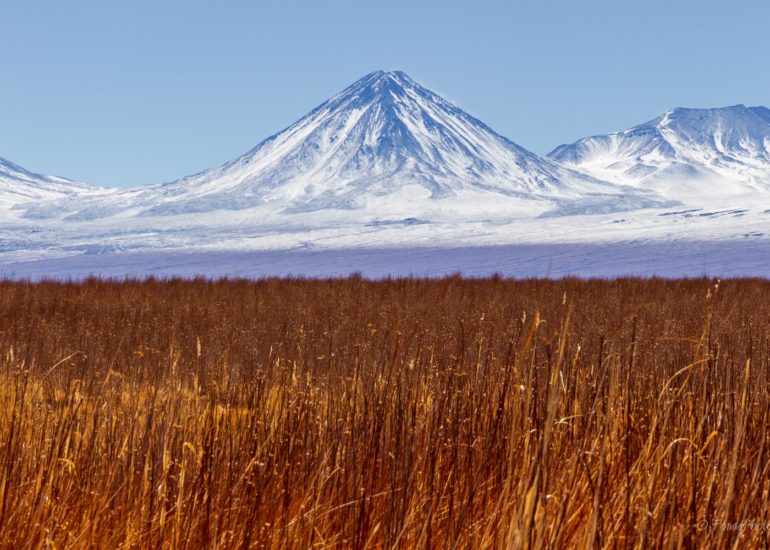 Laguna de Chaxa, Salar de Atacama