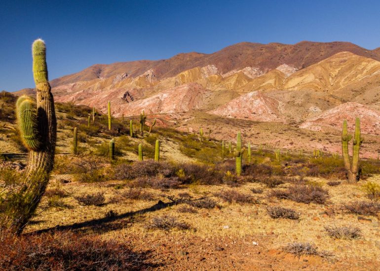 Molinos, South of Salta, NOA, Argentina