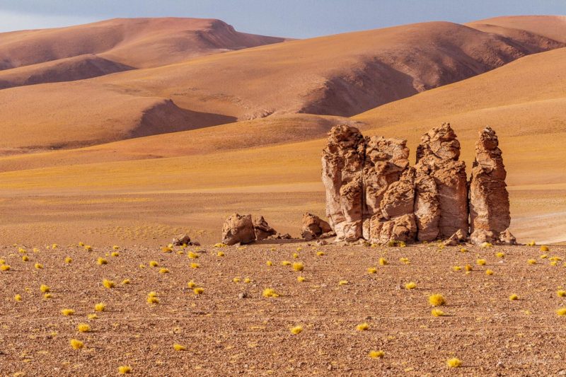 Catedrales de Tara, Salar de Tara, Los Flamencos National Reserve