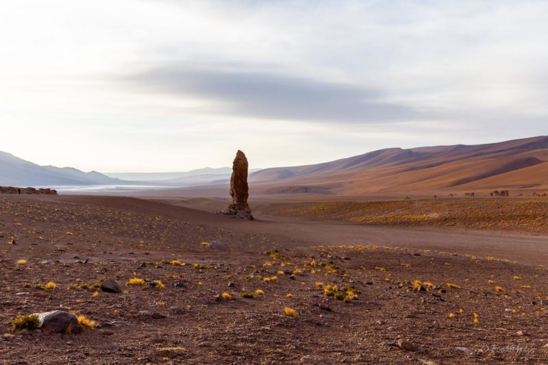 Catedrales de Tara, Salar de Tara, Los Flamencos National Reserve