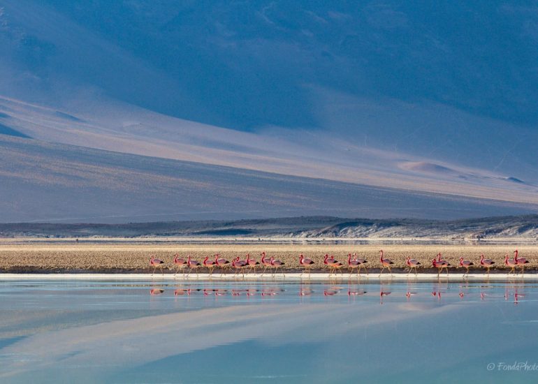 Catedrales de Tara, Salar de Tara, Los Flamencos National Reserve
