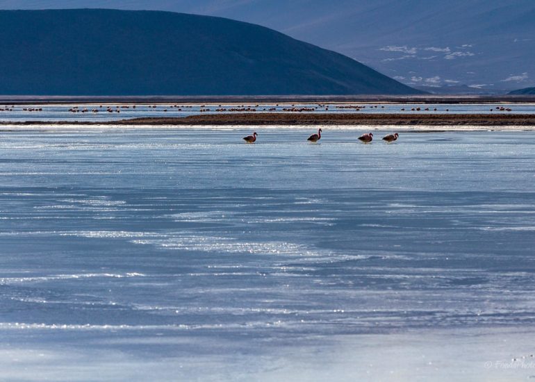 Catedrales de Tara, Salar de Tara, Los Flamencos National Reserve