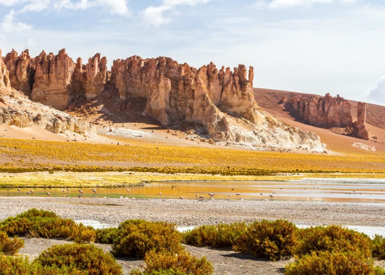 Catedrales de Tara, Salar de Tara, Los Flamencos National Reserve