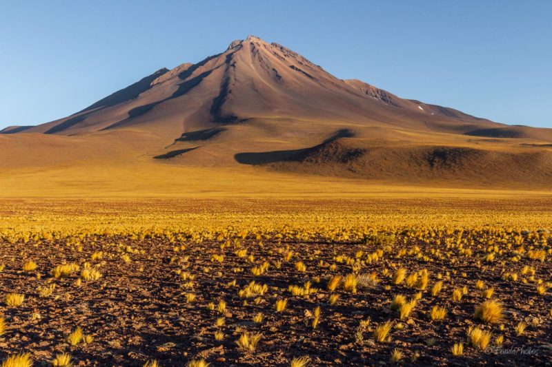 Catedrales de Tara, Salar de Tara, Los Flamencos National Reserve