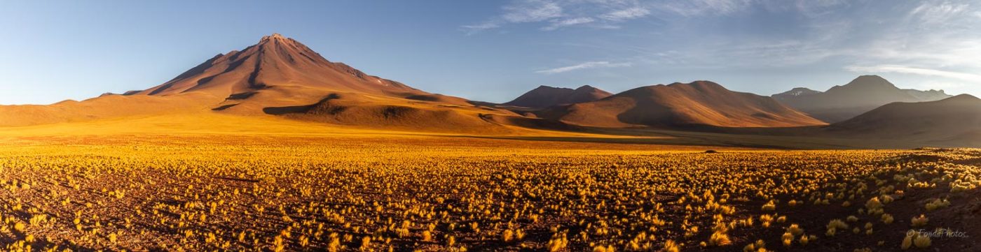 Volcan Miñiques, Réserve Nationale Los Flamencos