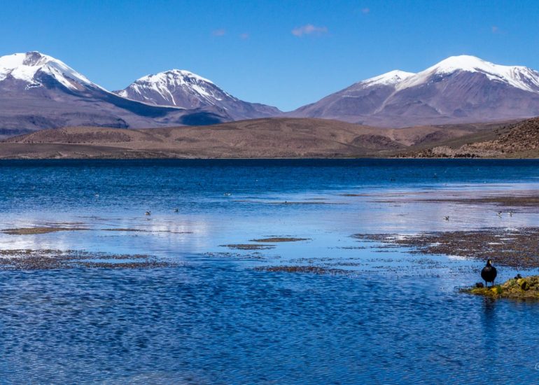 Lago Chungara and volcano Parinacota