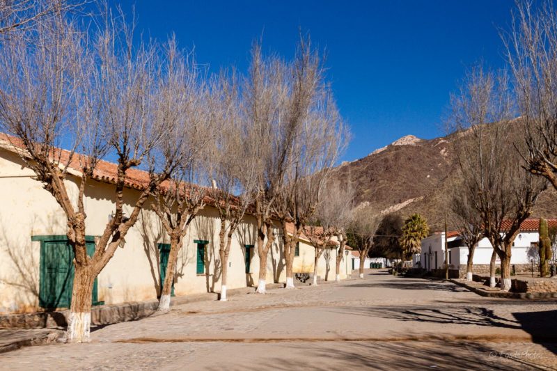 Molinos, South of Salta, NOA, Argentina
