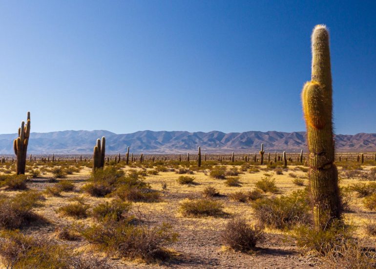 Molinos, South of Salta, NOA, Argentina