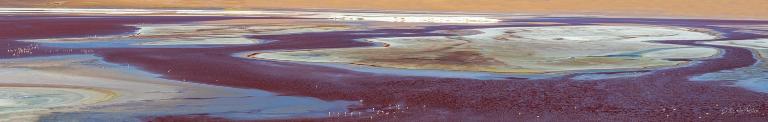 Laguna Colorada, Panorama